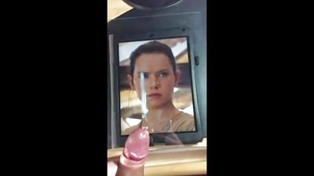 Land M. recomended cum daisy tribute ridley